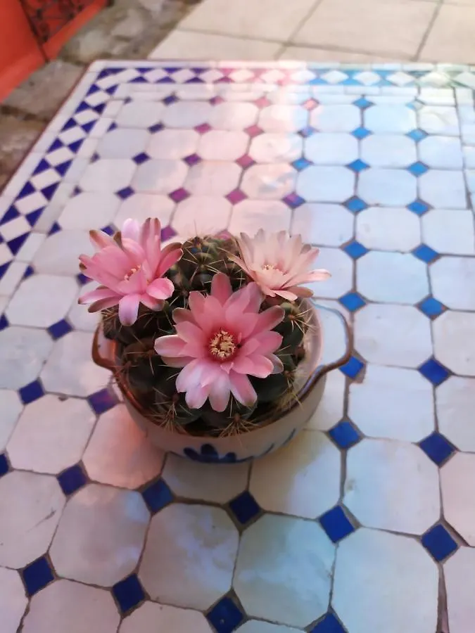 Gîte La rose des sables, aux portes de L'Orient Locmiquélic